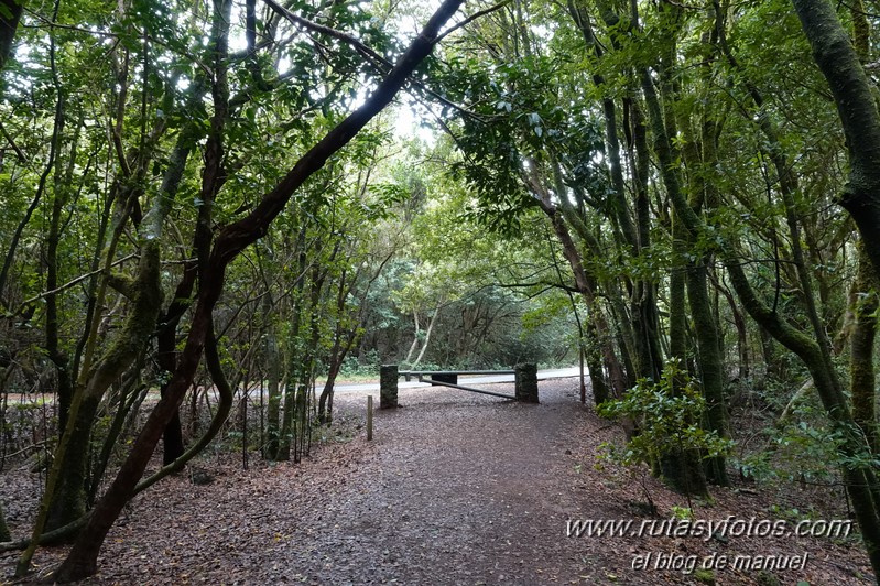 Sendero de los Sentidos - Sendero de los Enigmas