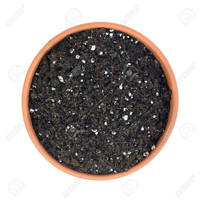 Potting Soil- imtiazshoykat.blogspot.com