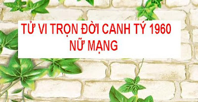 TU VI CANH TY 1960 NU MANG