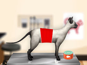 Game screenshot of Siamese cat with red bandage on abdomen