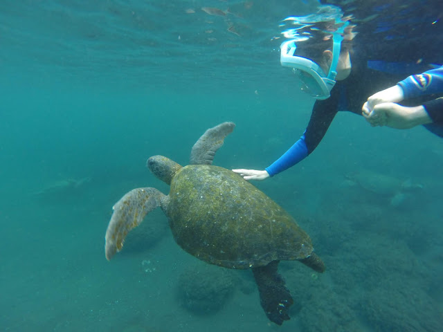 Snorkel en Punta Vicente Roca, Isla Isabela, Islas Galápagos