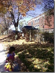 fall walk 2