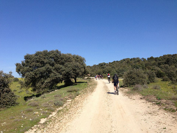 Unas fotos de nuestra ruta de Tres Cantos a Las Matas - Abril 2013