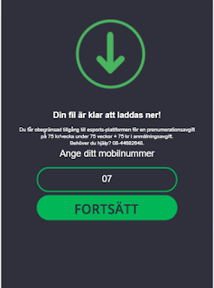 Ange ditt telefonnummer för att ladda ner ditt innehåll nu!