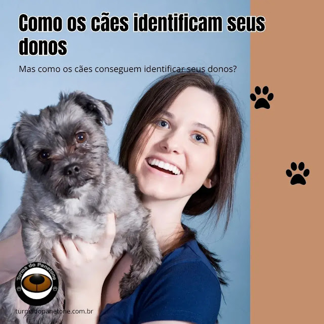 Como os cães identificam seus donos