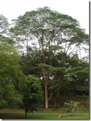 P1010228