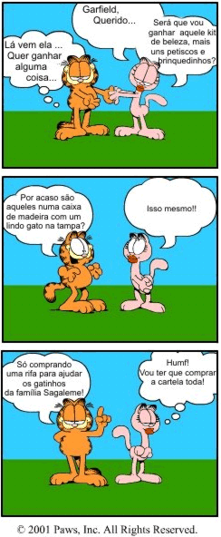 Kit para gatos