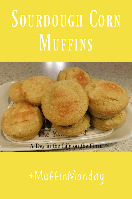 Sourdough Cornbread Muffins pin