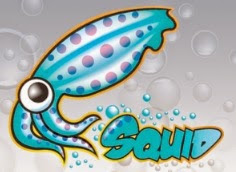 Cara Install Squid Limit To IP Pada Debian