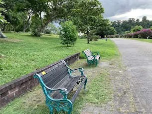 MacRitchie Reservoir