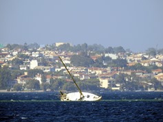 DSCN3431