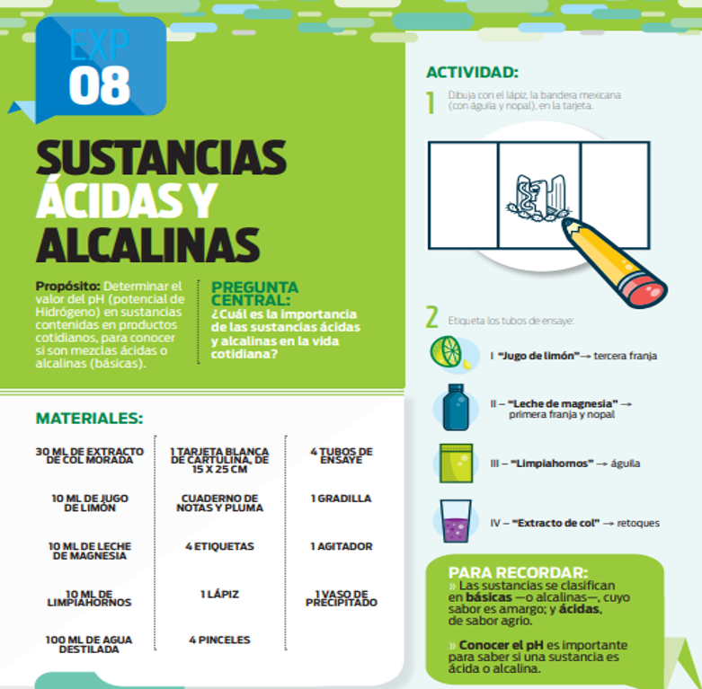 Experimento escolar sobre las sustancias ácidas y alcalinas