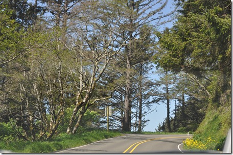 South Beach, Or 008
