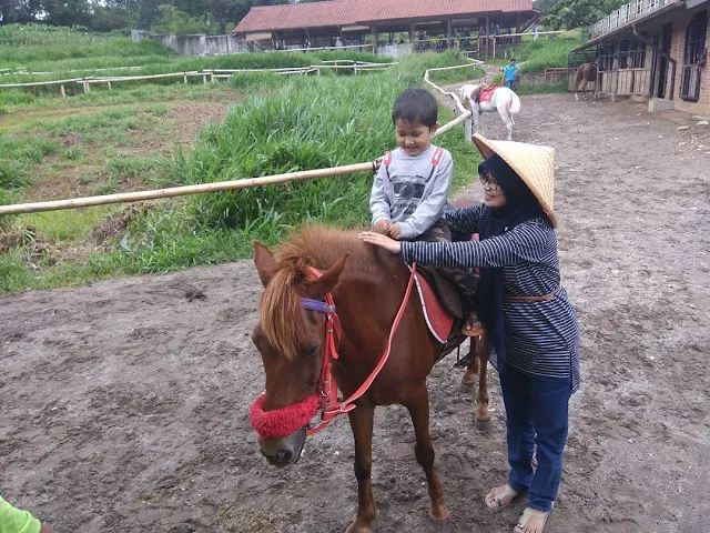 kuntum farmfield bogor