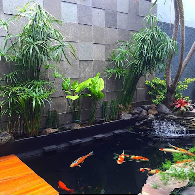 Jasa kolam koi - garden style