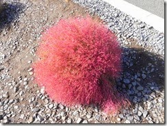 DSCN0181
