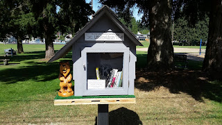 experience optimism little library