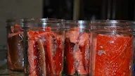 5 Intelligent How To Canned Salmon Work