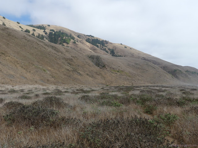 rolling grassy hills