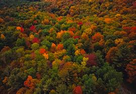 Vermont In The Fall