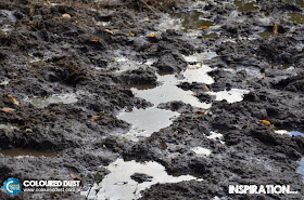 MUD