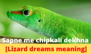 Sapne me chipkali dekhna। सपने में छिपकली देखना। Sapne mein chipkali dekhna [Lizard dream meaning]