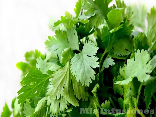 Usos tradicionales del cilantro