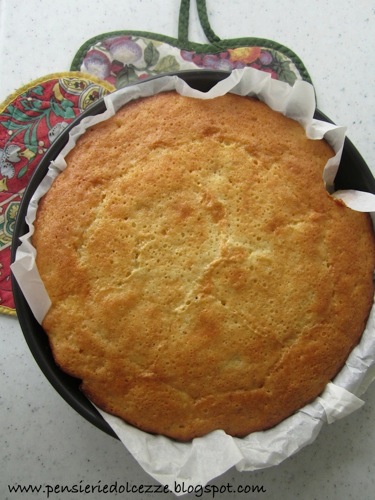 Torta Cocco Albicocche 3