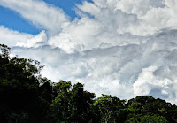 Clouds over tropical rainforest in Madre de Dios, Peru. (Image Credit: Oscar de Lama via Flickr) Click to Enlarge.