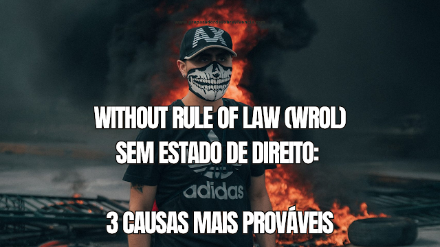 Without Rule of Law WROL Sem Estado de Direito