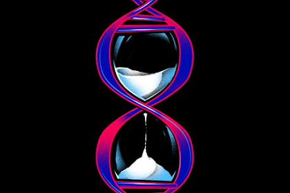 DNA Time