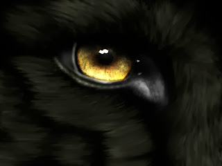 Black Wolf HD images, black wolf eye, 