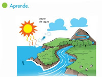 http://www.primerodecarlos.com/SEGUNDO_PRIMARIA/enero/tema2/actividades/cono/aprende_ciclo_agua/visor.swf