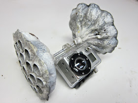 unique gopro case protect, camera, stabilize