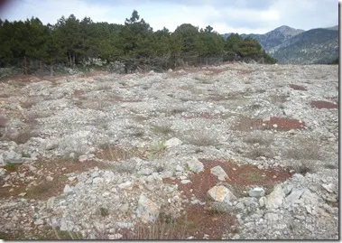 Γκιώνα 8-4-2010 040 Γκιώνα 8-4-2010 040