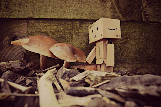 Danbo_Autumn_Deviantart