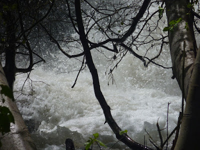 Bottom of Hunter Creek Falls