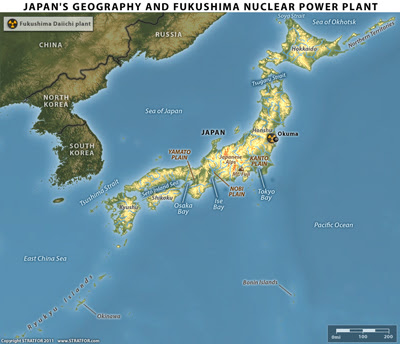 fukushima nuclear power plant. FUKUSHIMA NUCLEAR POWER PLANT