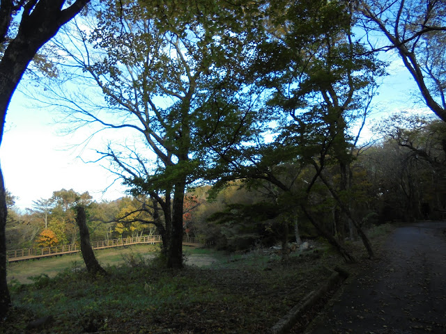 下山キャンプ場