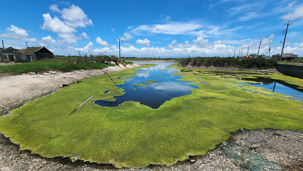 嘉義東石水上屋漸漸沉入水裡的古厝遺跡，成為熱門順遊拍照打卡點