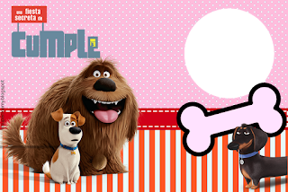 The Secret Life of Pets Free Printable Invitations, Labels or Cards.