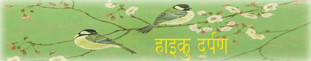 हाइकु लेख