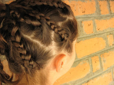 Trenzas para el Cabello