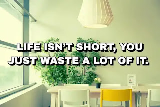 Life isn’t short, you just waste a lot of it.