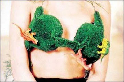 Unusual Bra Designs