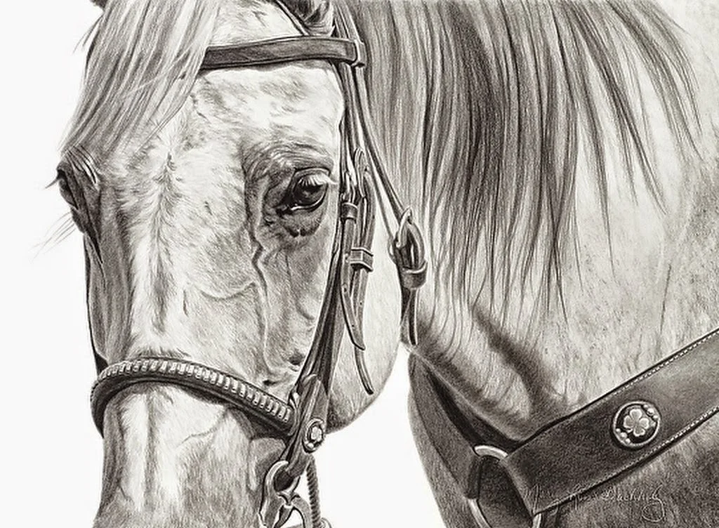 caballos-en-dibujos-realistas