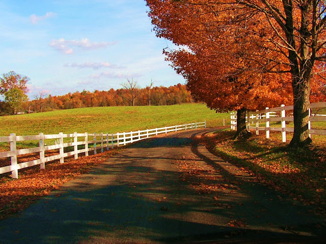 Autumn Desktop Backgrounds5