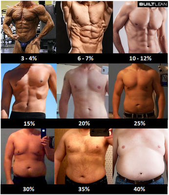 body fat images of men