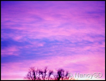 Nov sky 5 pink