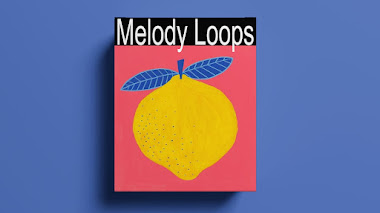 MELODY LOOPS (Samples for reggaeton,Moombahton,Tropical Pop and afro) VOL 55 